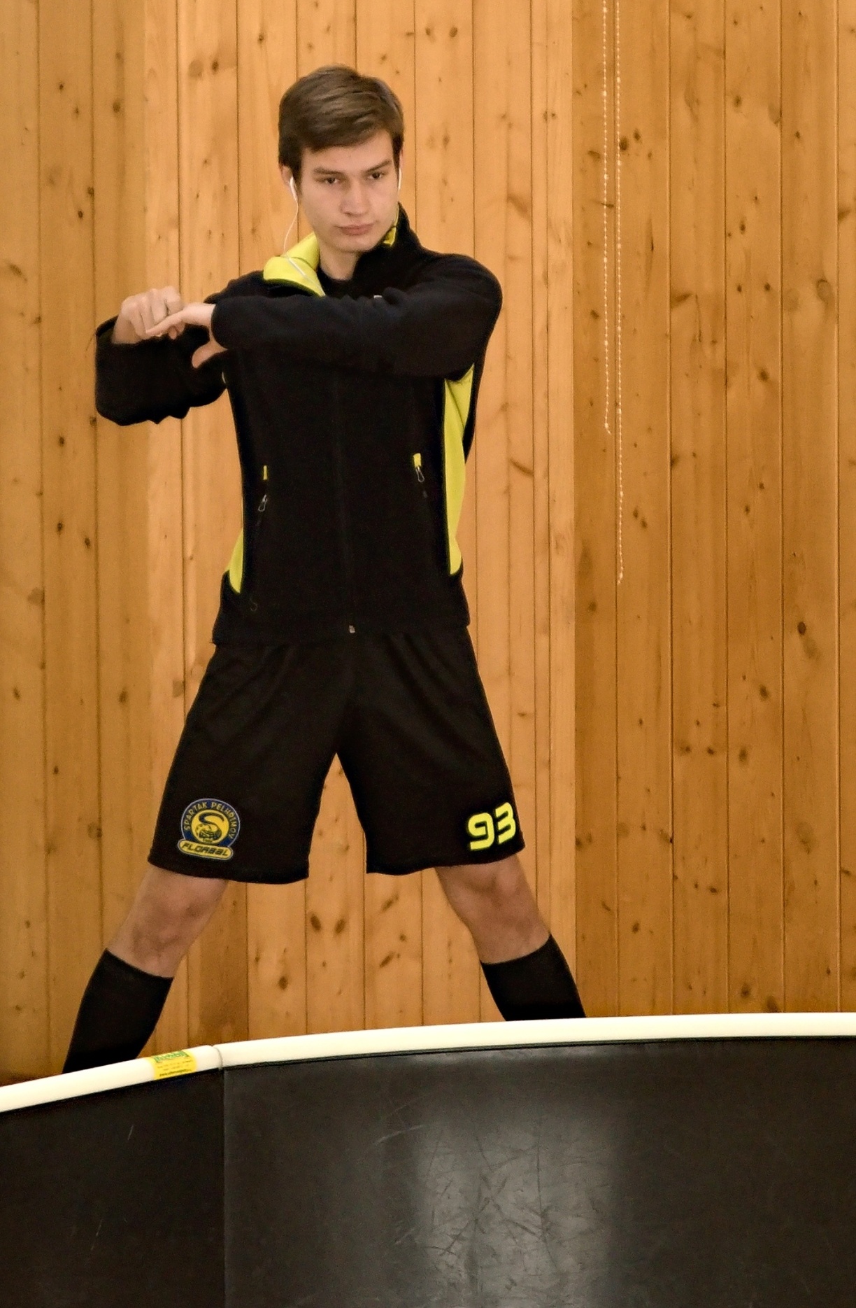 JunciLedec241015 004